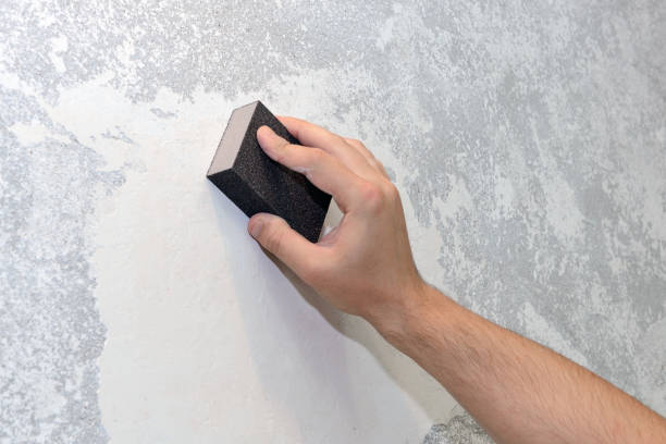 Best Mold Damage Restoration  in Stephenville, TX